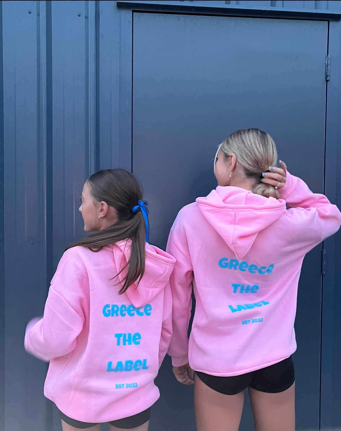 Pink/Blue Hoodie - PRE ORDER